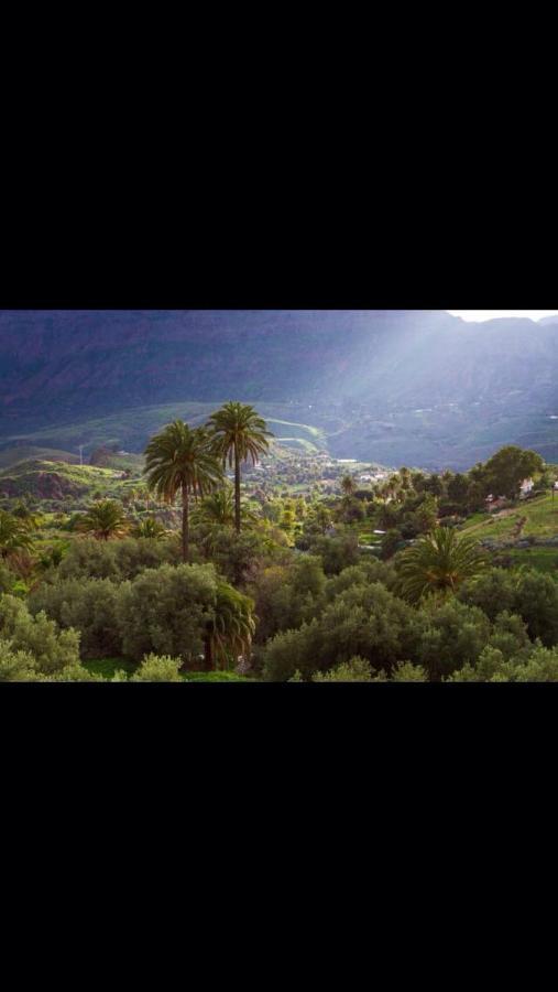 La Casa De Tea Villa Santa Lucia Dış mekan fotoğraf