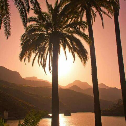 La Casa De Tea Villa Santa Lucia Dış mekan fotoğraf